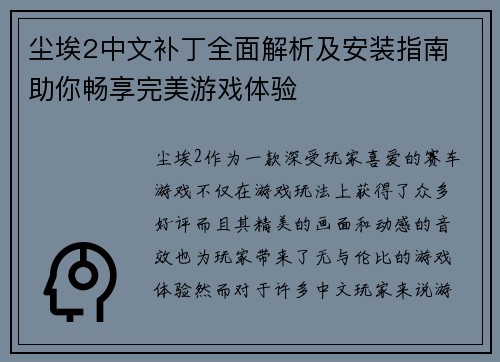 尘埃2中文补丁全面解析及安装指南 助你畅享完美游戏体验